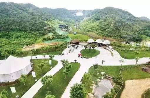 旅游运动鞋品牌有哪些_旅游运动鞋哪个牌子好_运动旅游