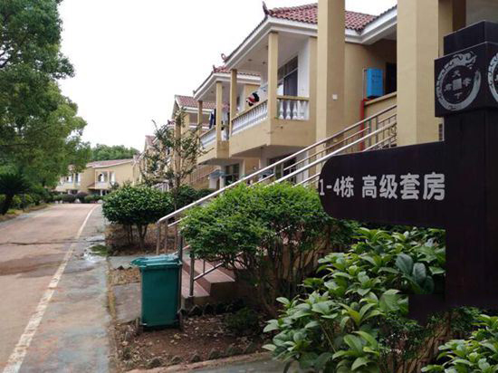 旅游运动量大吃的不多反而重了_旅游运动鞋品牌有哪些_运动旅游