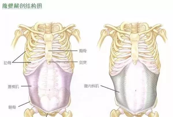 运动可以改善皮肤吗_运动可以产生多巴胺还是内啡肽_什么运动可以