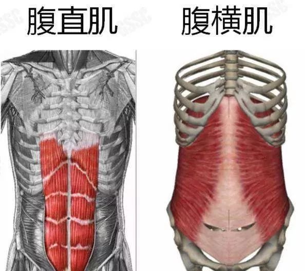 运动可以改善皮肤吗_运动可以产生多巴胺还是内啡肽_什么运动可以
