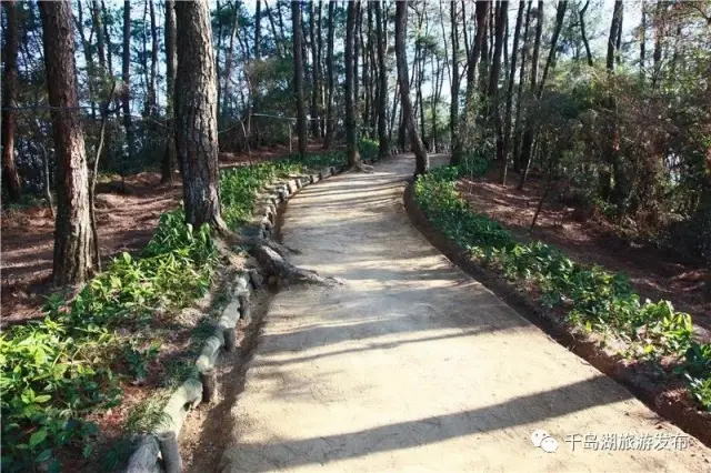 健身步道英语_健身步道标准_健身步道