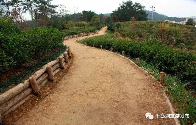 健身步道标准_健身步道_健身步道英语