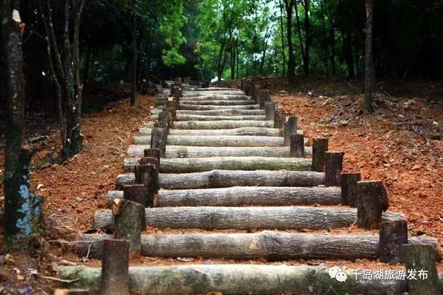 健身步道_健身步道英语_健身步道标准