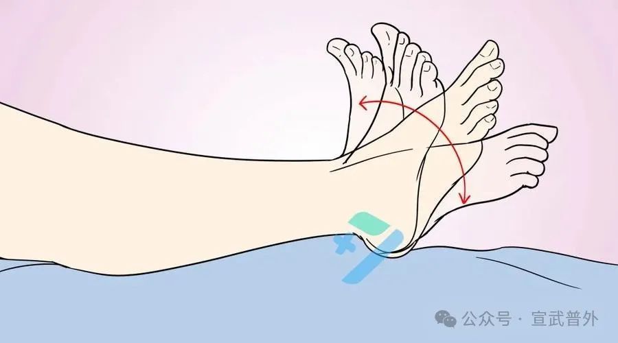 运动健身a5分钟塑身伸展运动_运动的英文_运动就