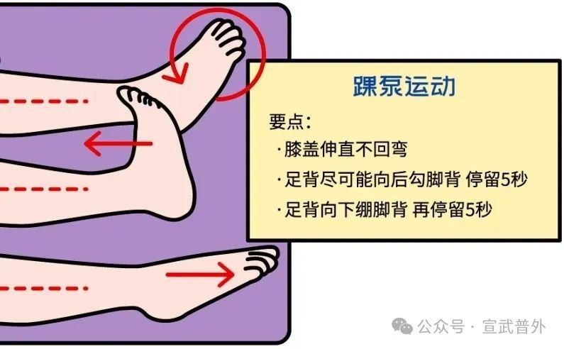 运动健身a5分钟塑身伸展运动_运动就_运动的英文