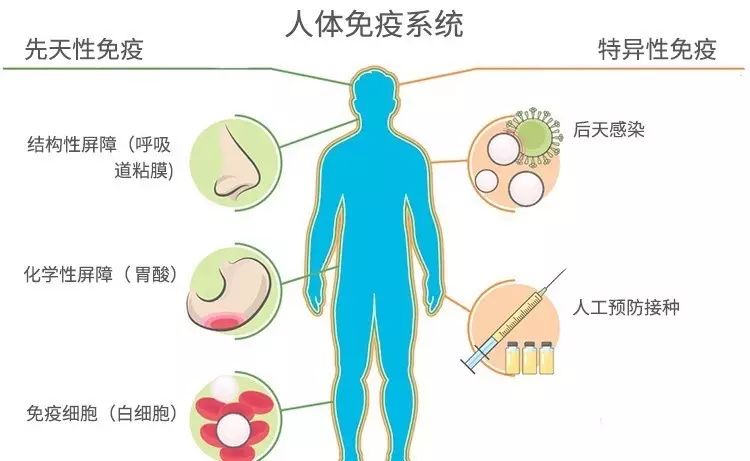 用氧运动能提高哪些身体素质_运动时吸氧的好处_有氧运动对身体的益处