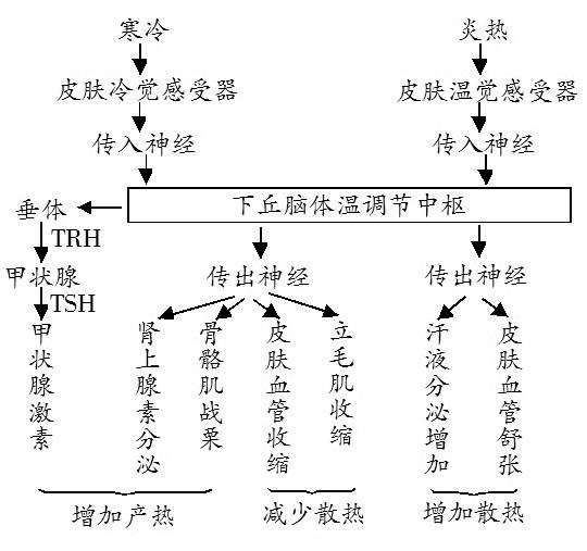 有氧运动对身体的益处_运动时吸氧的好处_用氧运动能提高哪些身体素质