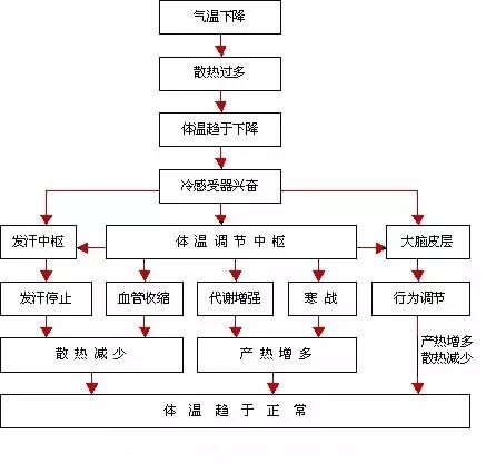 用氧运动能提高哪些身体素质_运动时吸氧的好处_有氧运动对身体的益处