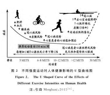 利于运动身体健康有什么好处_运动有利于身体健康_利于运动身体健康有哪些方面